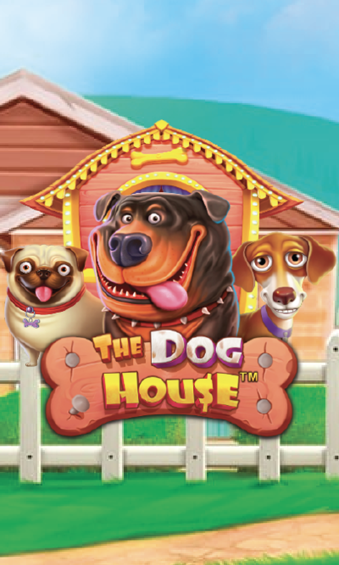 Pragmatic - The Dog House