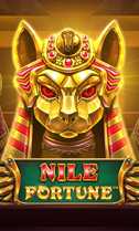 low quality preview image