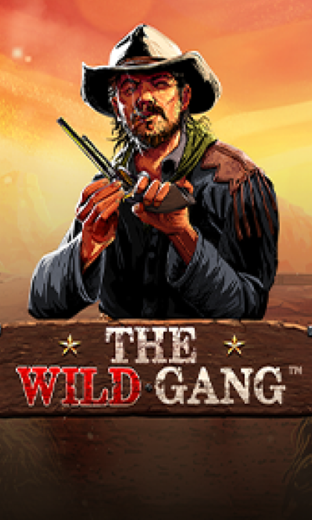 Pragmatic - The Wild Gang™